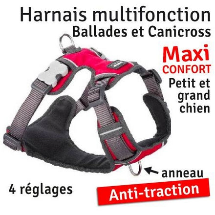 Halti Harnais Anti-Traction L – Dog97'4