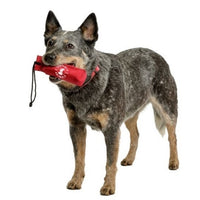 Charger l&#39;image dans la galerie, Boudin Training L