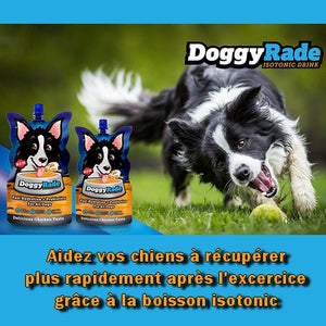 Boisson DoggyRade Chien 250ml