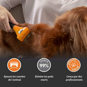 Brosse Anti-Mue Chien M Poils Courts Furminator
