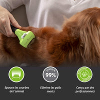 Charger l&#39;image dans la galerie, Brosse Anti-Mue Chien S Poils Courts Furminator