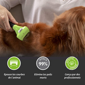 Brosse Anti-Mue Chien S Poils Courts Furminator