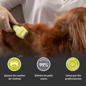 Brosse Anti-Mue Chien XS Poils Longs Furminator