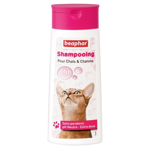 Shampooing Bulles Chaton & Chat