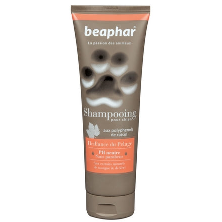 Shampooing Beaphar Brillance Du Pelage