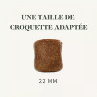 Charger l&#39;image dans la galerie, Bab&#39;in Sélective Grain Free Poulet Chien Maxi Adulte 12kg