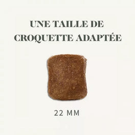 Bab'in Sélective Grain Free Poulet Chien Maxi Adulte 12kg