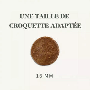 Bab'in Sélective Sensitive Saumon Chien Adulte 12kg