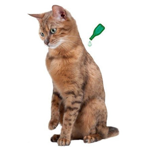 Pipettes répulsives antiparasitaires chaton