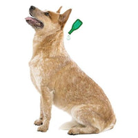 Charger l&#39;image dans la galerie, Pipettes Répulsives Antiparasitaires Chien Adulte Petit