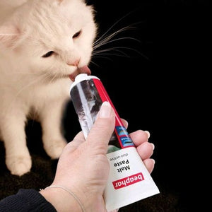 Pâte Anti-Boules De Poils Chat