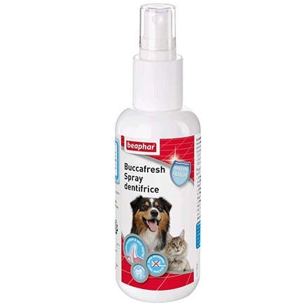 Spray Dentifrice Pour Chien & Chat