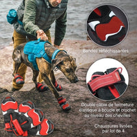 Charger l&#39;image dans la galerie, Chaussures Pour Chien Blaze Cross Kurgo L