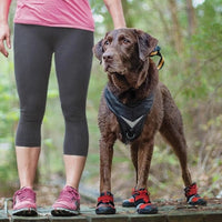 Charger l&#39;image dans la galerie, Chaussures Pour Chien Blaze Cross Kurgo L