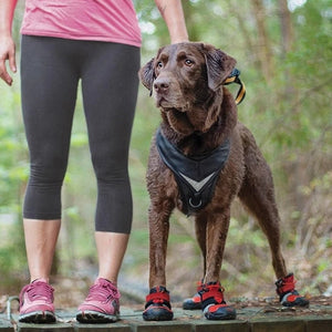 Chaussures Pour Chien Blaze Cross Kurgo M