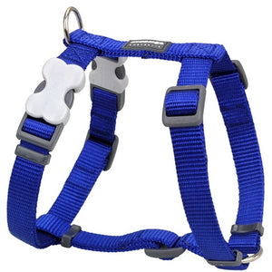 Harnais Basic Bleu Red Dingo