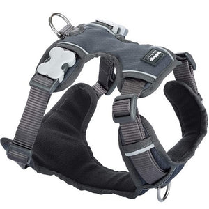 Harnais Sport Rembourré Red Dingo Gris