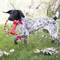 Charger l&#39;image dans la galerie, Jouet Kong Classic Goodie Bone With Rope Os Corde