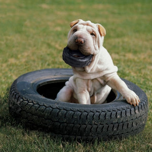 Jouet Kong Extrême Tyres