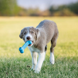 Jouet Kong Puppy Goodie Bone Os