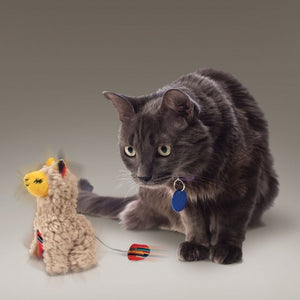 Jouet Kong Softies Buzzy Lama Chat