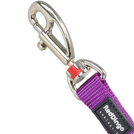 Laisse Basic Bleu Red Dingo