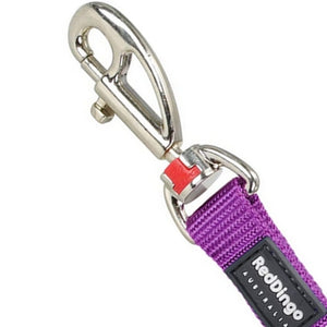 Laisse Basic Mauve Red Dingo