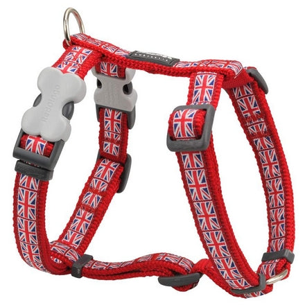 Harnais Union Jack Red Dingo