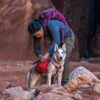 Charger l&#39;image dans la galerie, Harnais Baxter Sac A Dos Chien Kurgo M